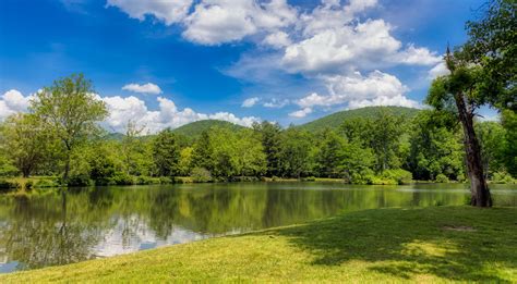 Non Urban Scene Lake Day Forest Plant Woods Tranquil Scene 4K