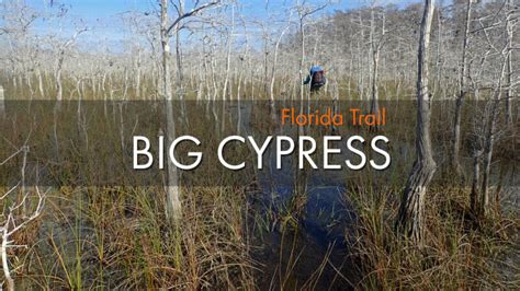 Hiking Big Cypress National Preserve Camping Biking Paddling Birding