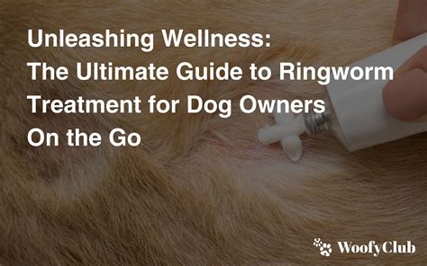 Unleashing Wellness: The Ultimate Guide To Ringworm Treatment For Dog Owners On The Go | WoofyClub