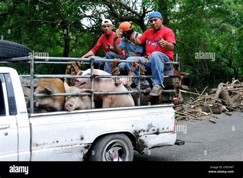 Recoger fotos fotografías e imágenes de alta resolución Alamy