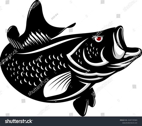 Bass Fish Vector Fishing Logo Company Stock Vector (Royalty Free ...