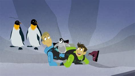 Wild Kratts - Full Episodes Video Collection | Videos | PBS KIDS