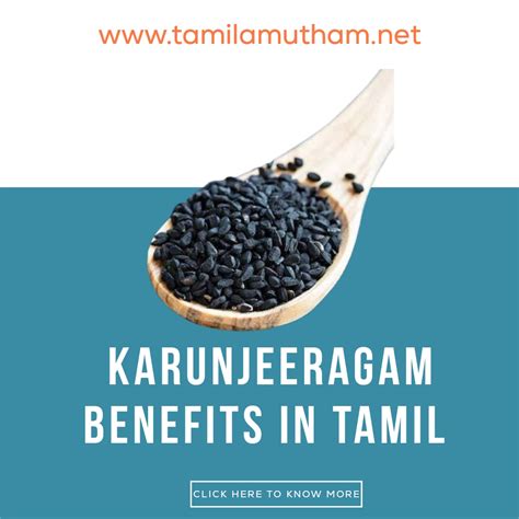 Karunjeeragam Benefits In Tamil Tamil Amutham