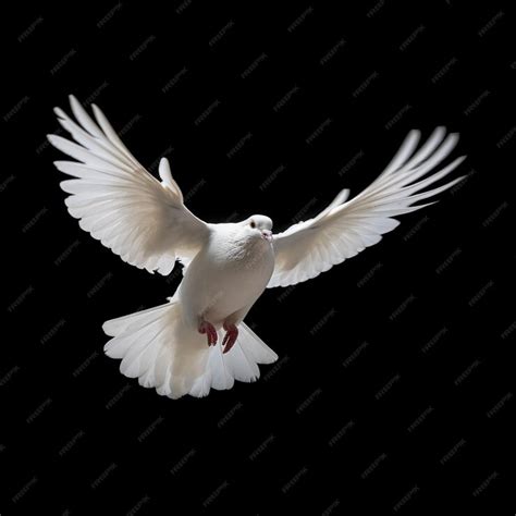 Premium Photo | White dove flying in isolated background hd