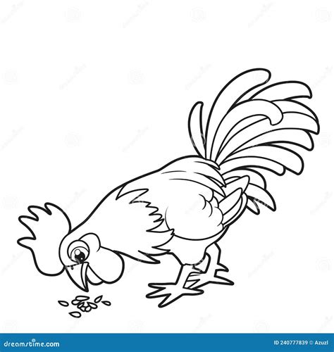 Un Lindo Gallo De Caricatura Pica Grano Del Suelo Delineado Para El Libro De Colorear Sobre