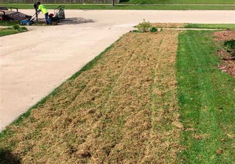 What is Lawn Dethatching? When, Why & How