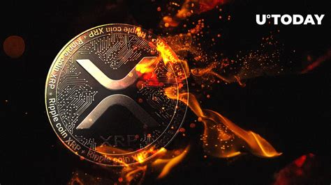 Million Xrp Moved By Ripple And Whales As Xrp Rises In Past Week