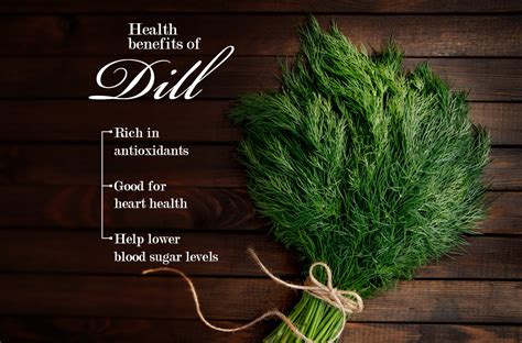 Health Benefits Of Dill