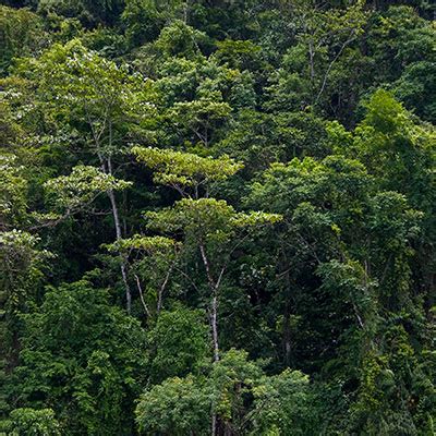 Ecosistemas de México | Biodiversidad Mexicana