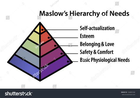 Pyramid Diagram Illustrating Maslows Hierarchy Needs Stock Vector ...