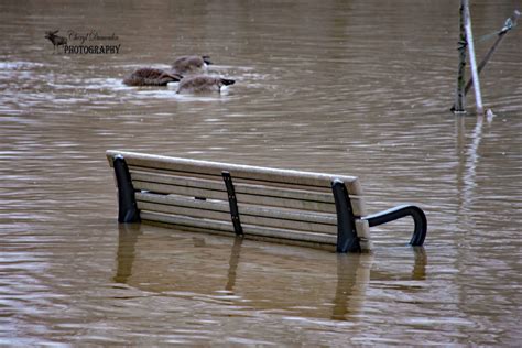 Thames River Flooded • Cheryl Dumoulin Photography