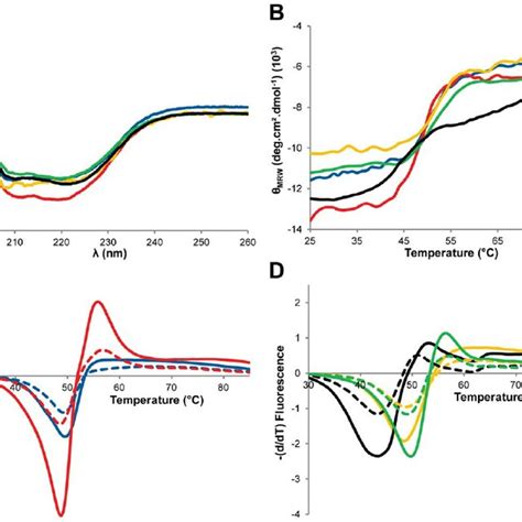 Thermal Denaturation Of Parental And Chimeric B Lactamases Monitored