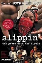 Crips And Bloods Made In America Imdb