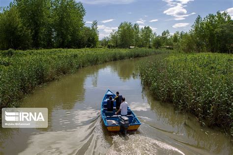 Irna English Anzali Wetland In Iran