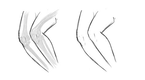 How To Draw The Knee Bent And Straight Step By Step Gvaats