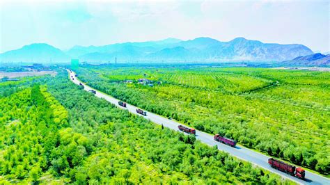 厚植生态底色提升发展成色——石嘴山市建设黄河流域生态保护和高质量发展先行区暨生态建设现场会侧记 宁夏新闻网