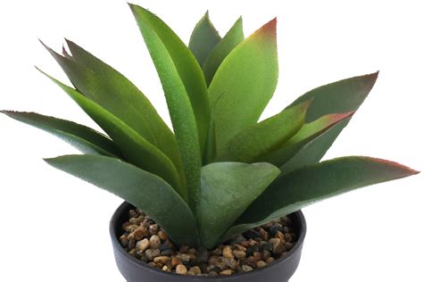 Künstliche Aloe Vera im Topf mit Steindeko Höhe 22 cm Pflanze grün