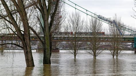 Rhein Hochwasser kommt über Feiertage zurück Haller Kreisblatt NRW