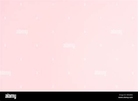 Solid Light Pink Wallpaper