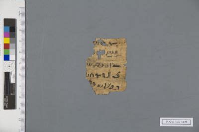 Papyrus Fragment P NYU Inv 1428 01 New York University Collection Of