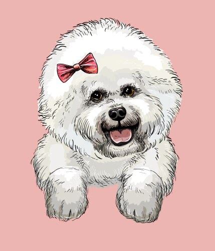 The Ultimate Guide To Bringing Furry Joy To Paper: Mastering The Delightful Bichon Frise