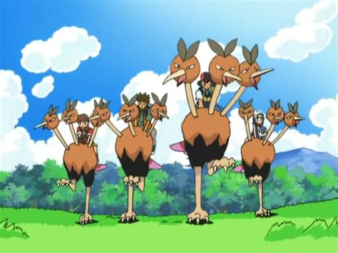 Dodrio (DP072) | Pokémon Wiki | Fandom