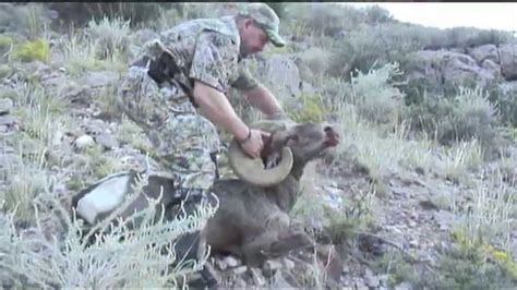 Bryan Harlan New Mexico Raffle Sheep Tag Hunt Video Youtube