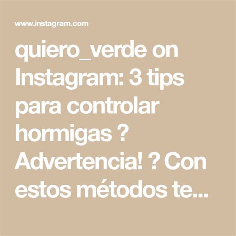 Quiero Verde On Instagram Tips Para Controlar Hormigas Advertencia