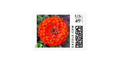 Floral Postage Stamps - Orange Floral Zinnia | Zazzle