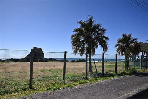 房総フラワーライン 南房総 花海街道