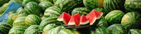 Купить семена овощей в Ташкенте Узбекистане - Agrimatco