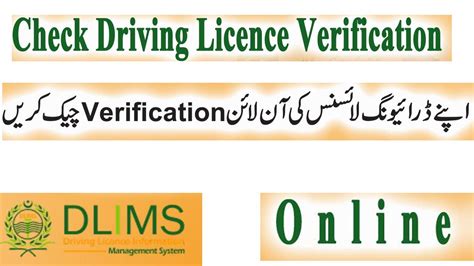 Driver License Validation Check Lenayellow