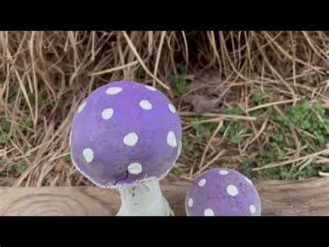 Pin On JLK Mushrooms Hypertufa Cement