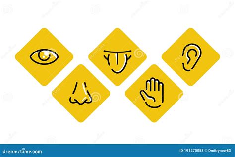 Five Senses Touch Sight Hearing Smell Taste Stock Vector