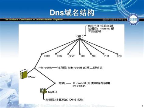 Dns主要提供的服务？dns服务器的作用以及类型 世外云文章资讯