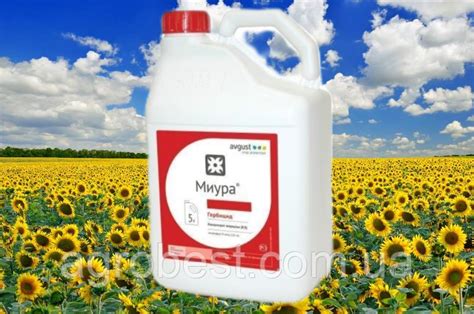 Миура гербицид 5л: продажа, цена в Киеве. Гербициды от "ТОВ" AgroBest ...