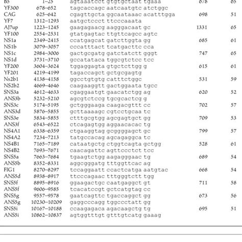 Oligonucleotide Primer Pairs Expected Sizes Bp Of Pcr Products