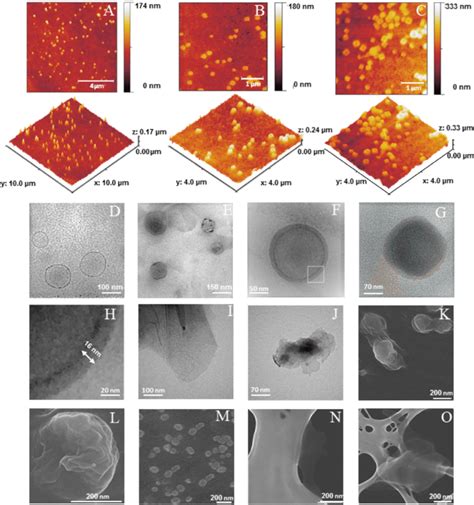 Liposome Tem