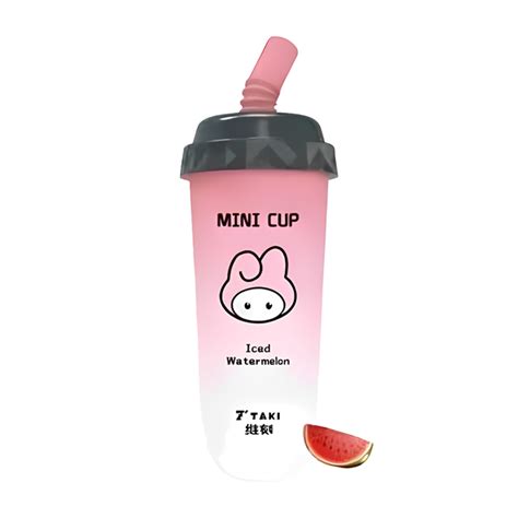 HOT CHICK Disposable Vape 6000 Puffs Iced Watermelon Vape Shop In