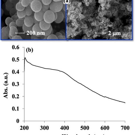 Characterization Of The Magnetic Silica Nanoparticles MSNPs A