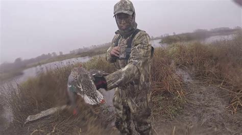 Norcal Refuge Duck Hunting Banded Duck Youtube