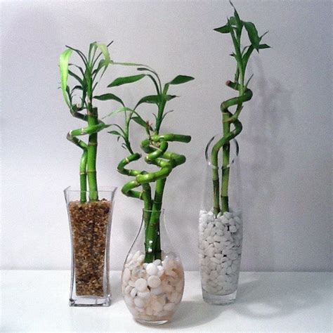 Keep calm and ARRÊTEZ AVEC AUDREY HEPBURN. Diy Garden, Garden Help ...