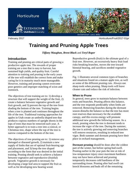 Pdf Training And Pruning Apple Trees Dokumen Tips