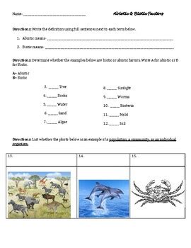 Abiotic Biotic Factors Practice Worksheet By Thee Teaching Queen