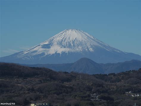 『2024 早咲きの菜の花と富士山ウォッチング＠吾妻山』平塚・大磯神奈川県の旅行記・ブログ By Morino296さん【フォートラベル】