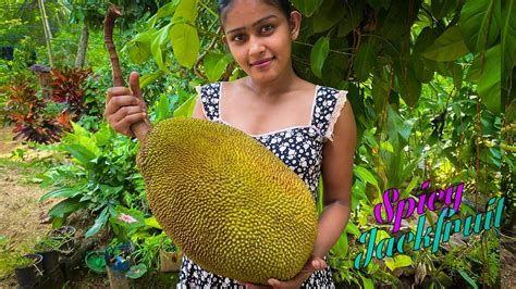 Fresh Jackfruit Makes Delicious Dishes Sri Lankan Jackfruit Recipe