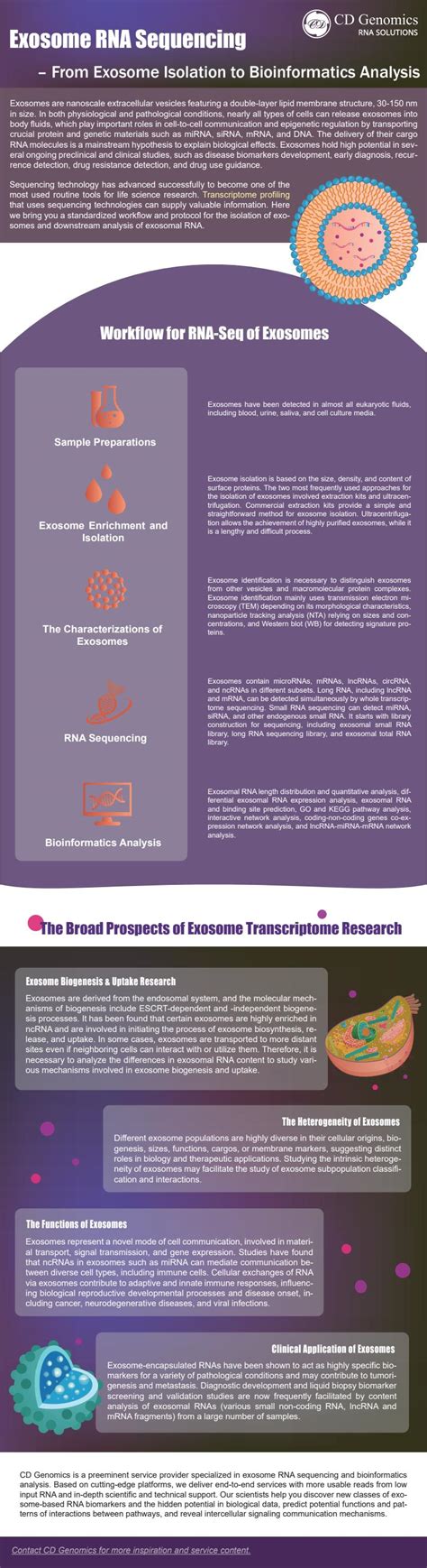 Exosome Rna Sequencing—from Exosome Isolation To Bioinformatics