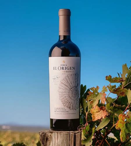 FINCA EL ORIGEN GRAN RESERVA CABERNET SAUVIGNON 2017 MEU VINHO