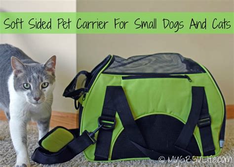 Soft Sided Pet Carrier For Small Dogs And Cats - My GBGV Life