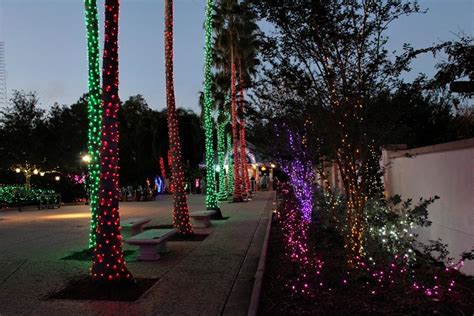 Florida Botanical Gardens Christmas - Beautiful Insanity